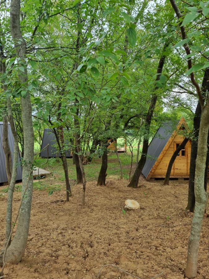 Wolf & Sheep Nature & Adventure 포드고리차 외부 사진